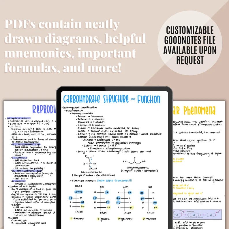 MCAT Study Guide - Digital Product Store