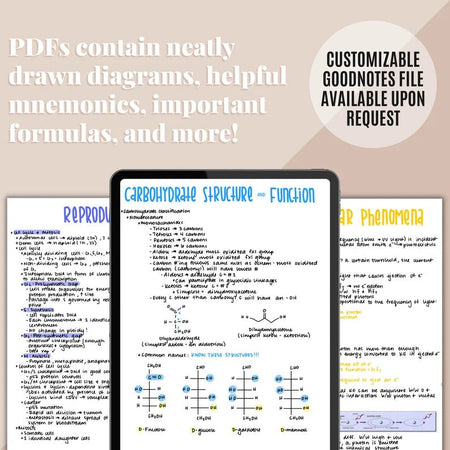 MCAT Study Guide - Digital Product Store