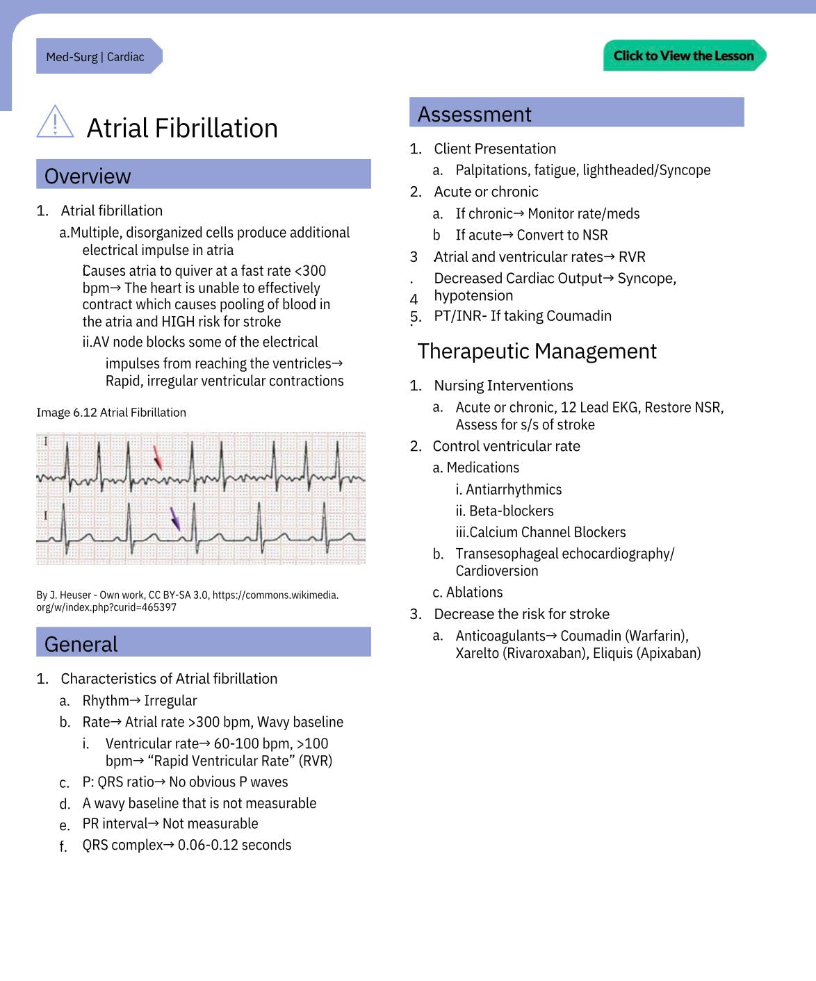 Nursing Study Free Guide - Digital Product Store
