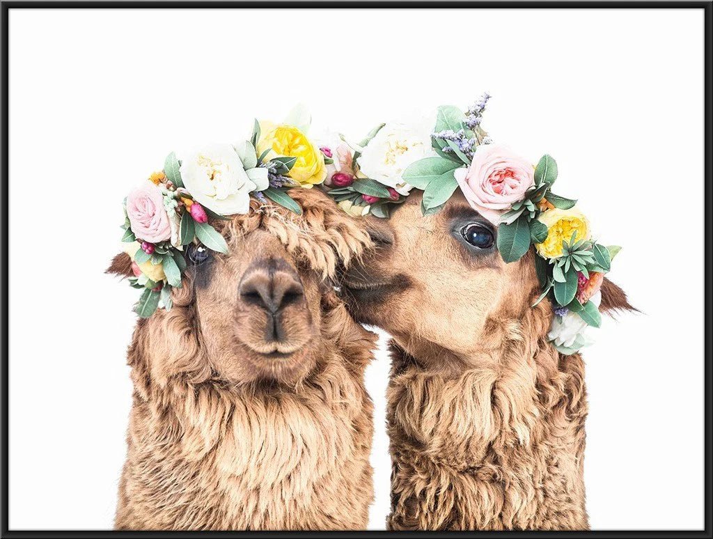 Alpaca love - Digital Product Store