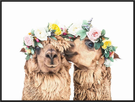Alpaca love - Digital Product Store