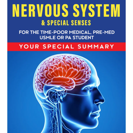 Nervous System - Digital Product Store