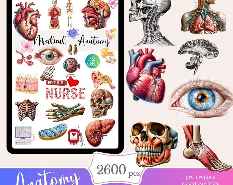 Anatomy Digital Stickers - Digital Product Store