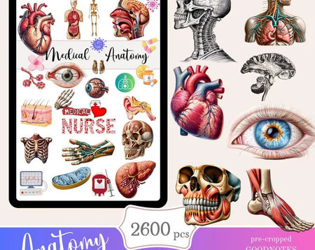 Anatomy Digital Stickers - Digital Product Store