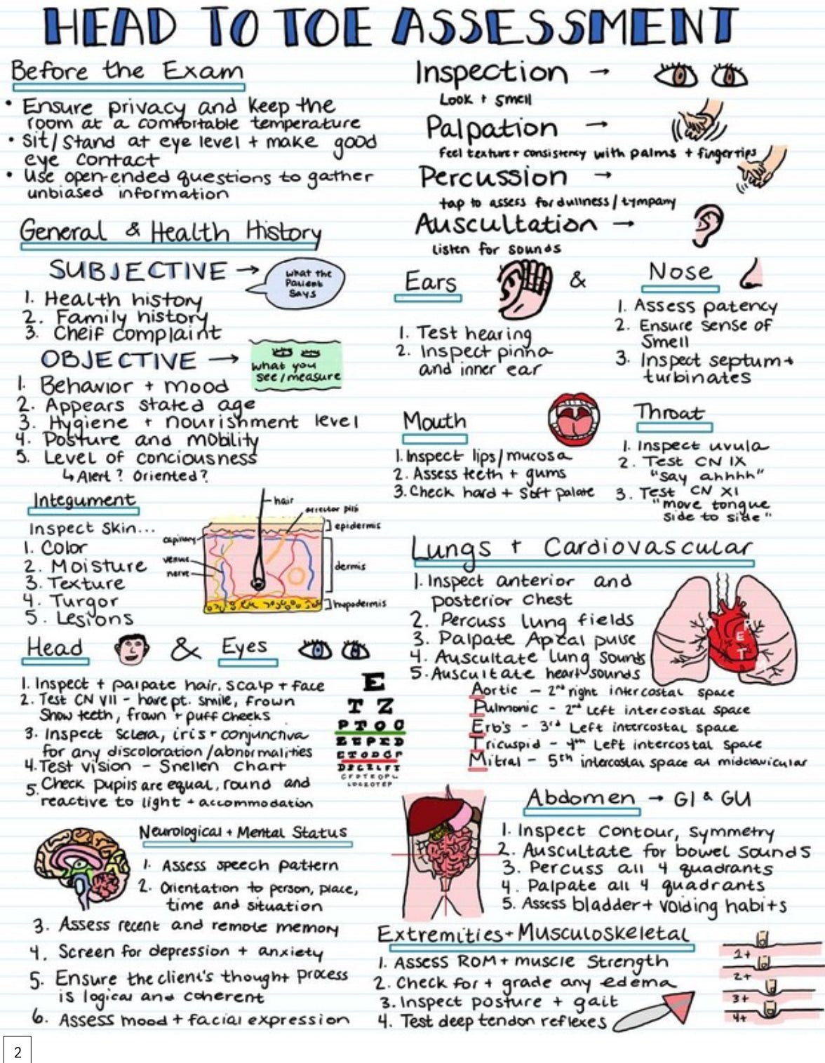 Nursing school Visual Notes - Digital Product Store