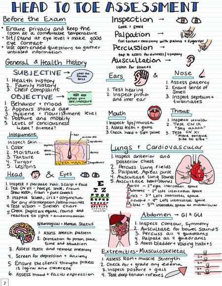 Nursing school Visual Notes - Digital Product Store
