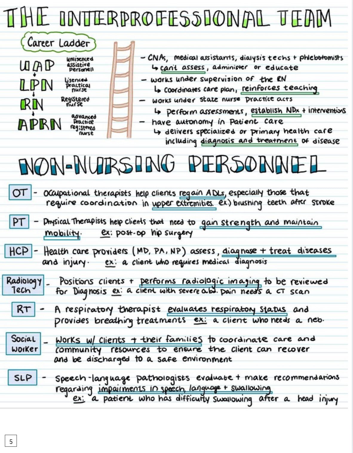 Nursing school Visual Notes - Digital Product Store