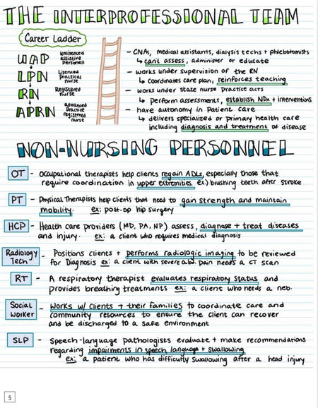 Nursing school Visual Notes - Digital Product Store