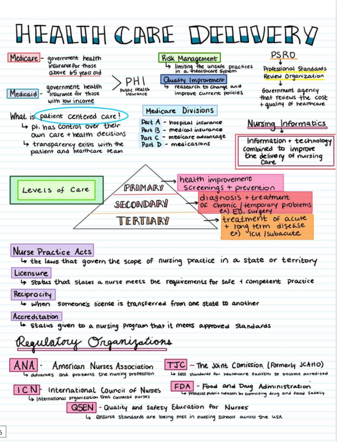 Nursing school Visual Notes - Digital Product Store