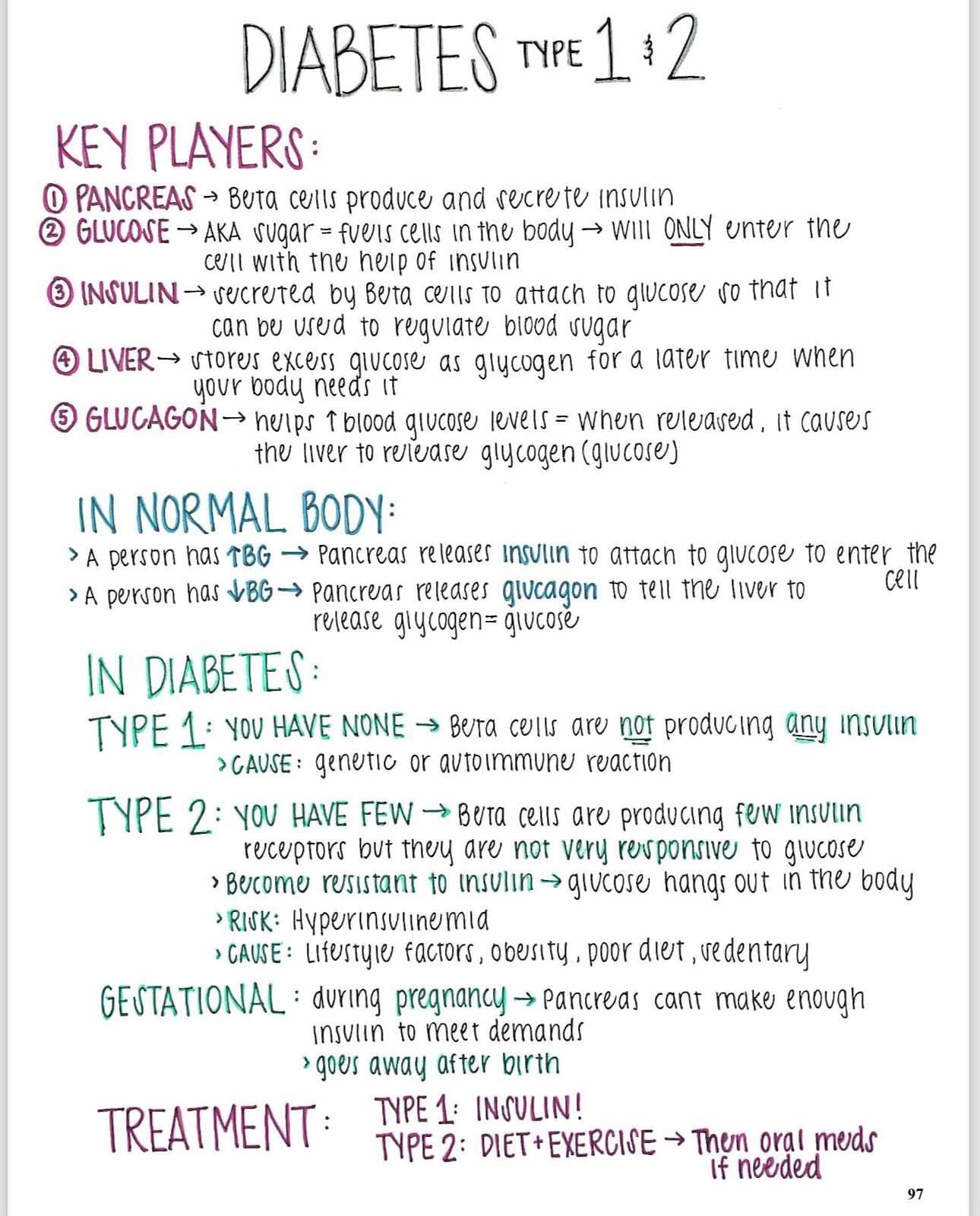 The Nursing School Comprehensive Bundle - Digital Product Store