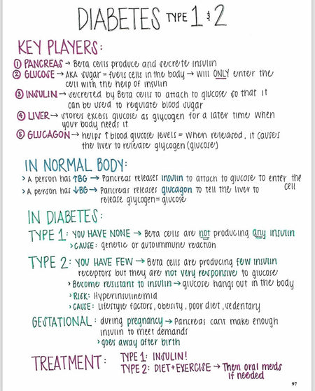 The Nursing School Comprehensive Bundle - Digital Product Store