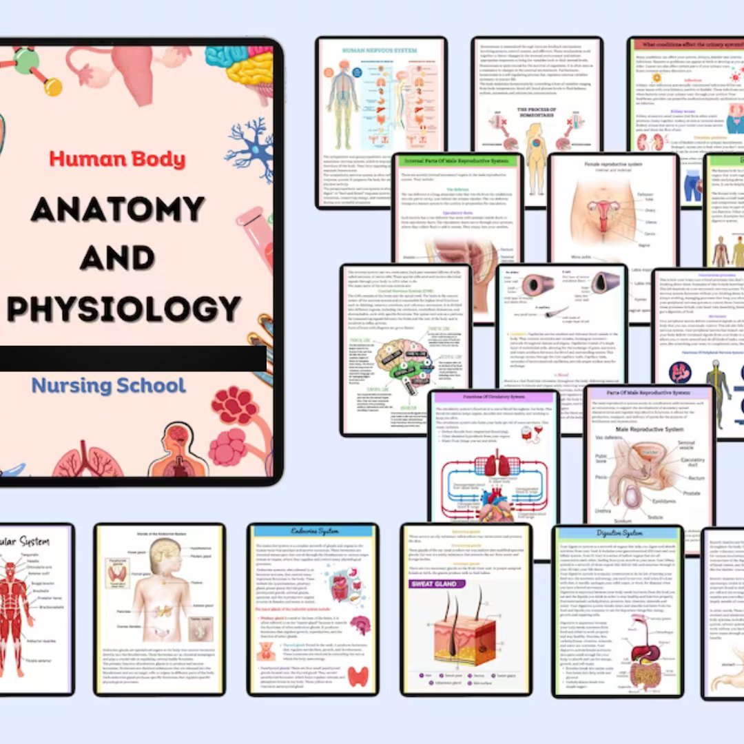 Anatomy and Physiology - Digital Product Store